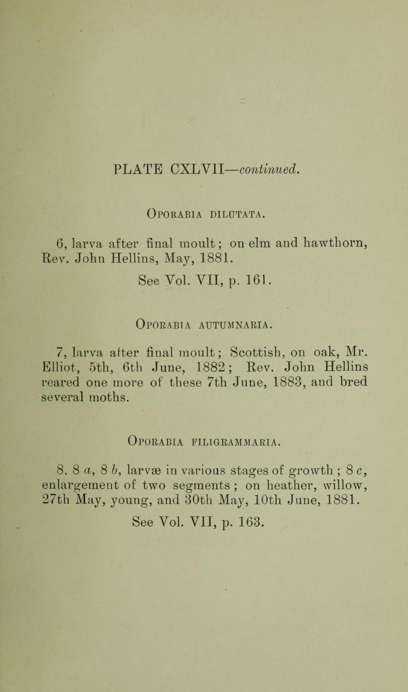 Buckler W The larvæ of the British butterflies and moths PlateCXLVIText2