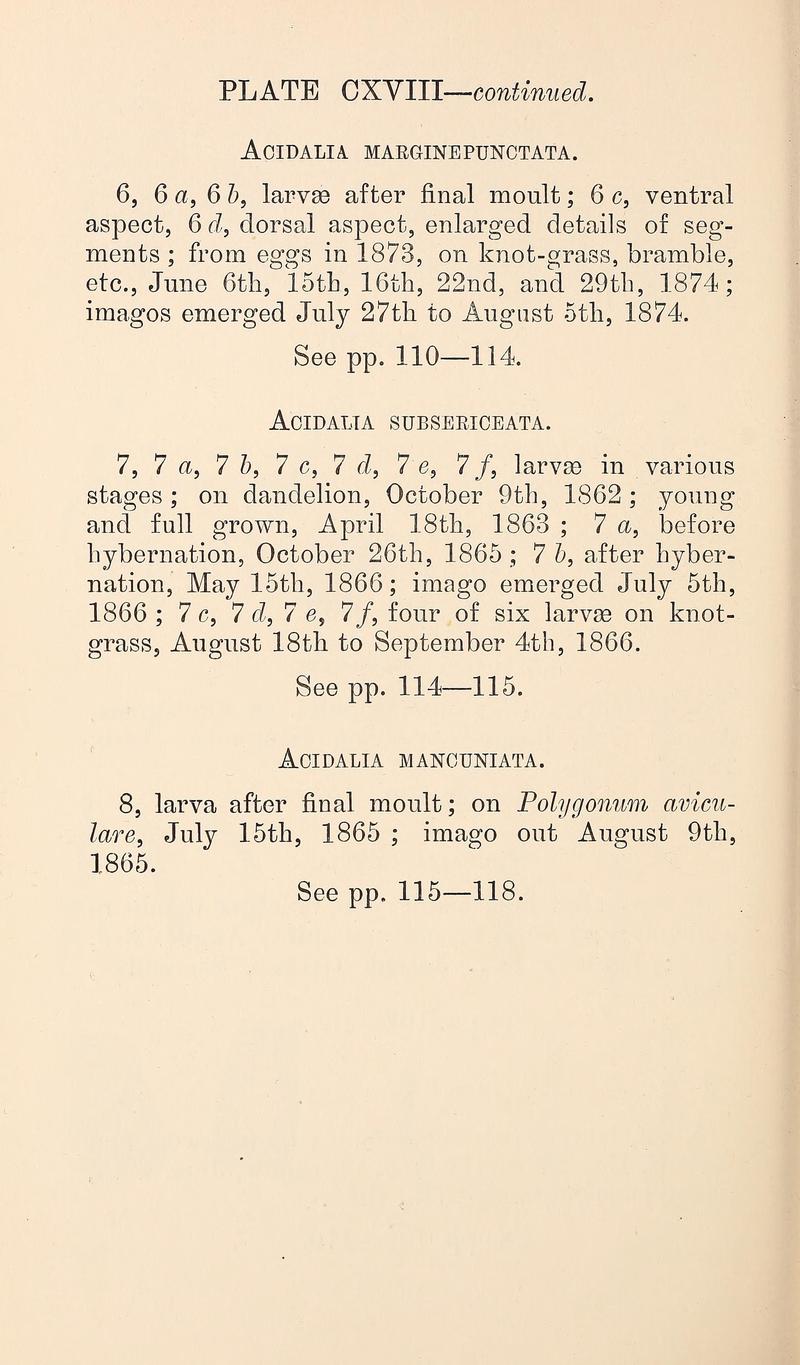Buckler W The larvæ of the British butterflies and moths PlateCXVIIITextcontinued