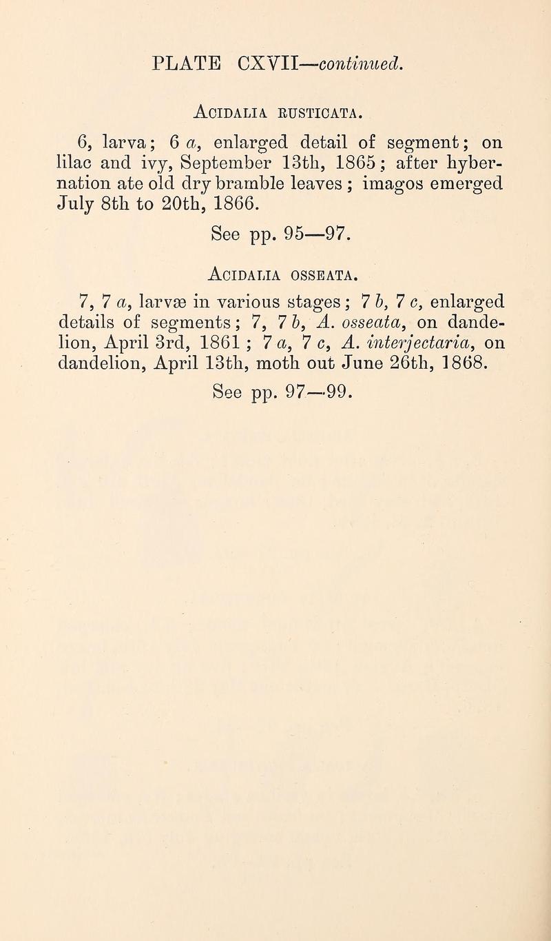 Buckler W The larvæ of the British butterflies and moths PlateCXVIITextcontinued