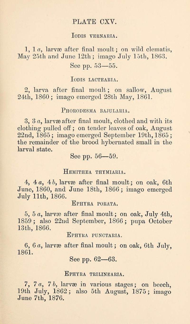 Buckler W The larvæ of the British butterflies and moths PlateCXVText