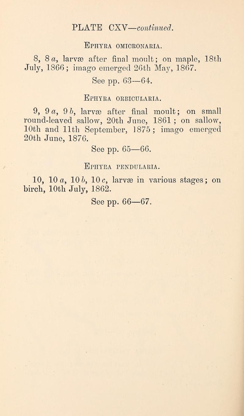 Buckler W The larvæ of the British butterflies and moths PlateCXVTextcontinued