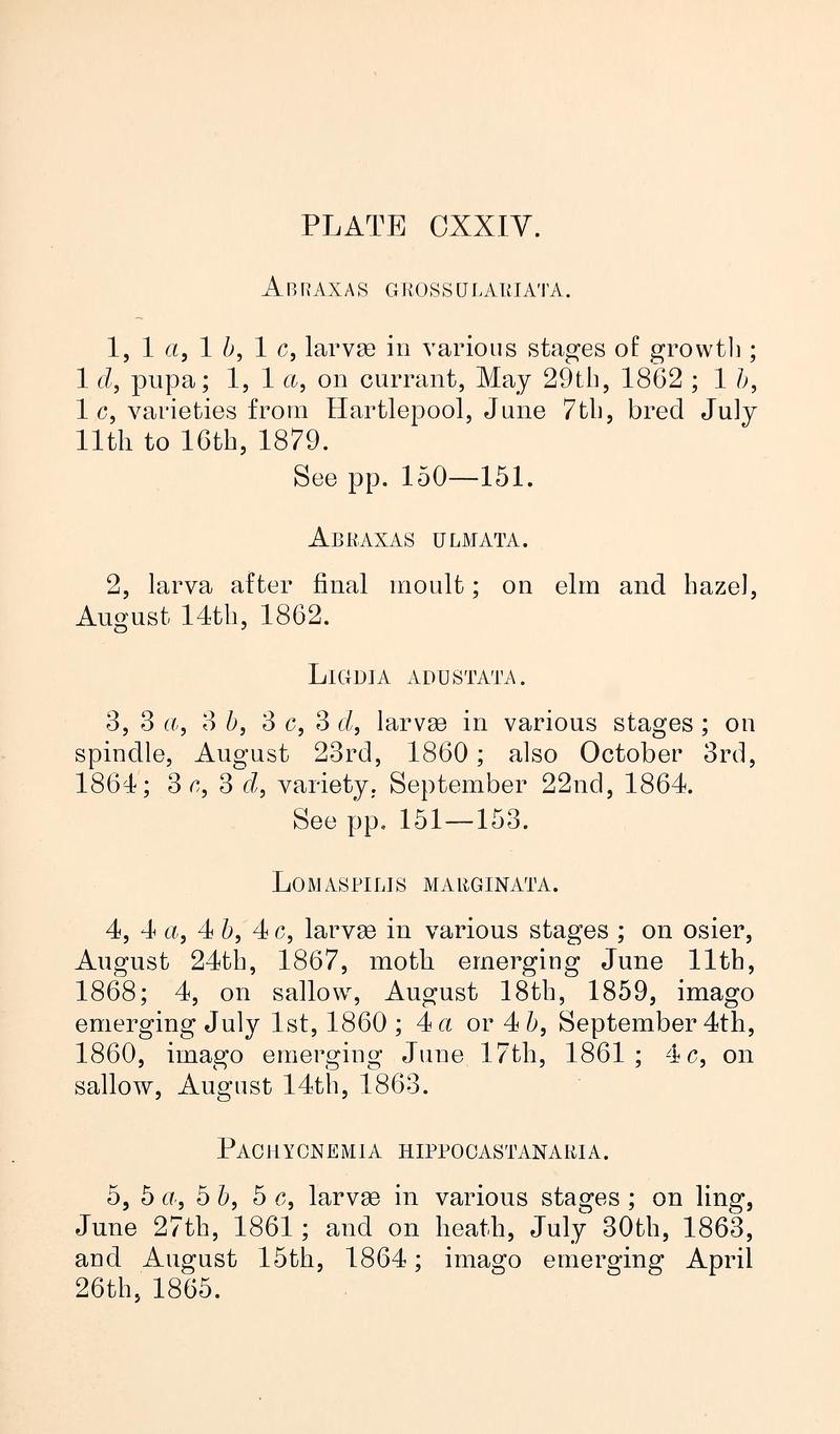 Buckler W The larvæ of the British butterflies and moths PlateCXXIVText
