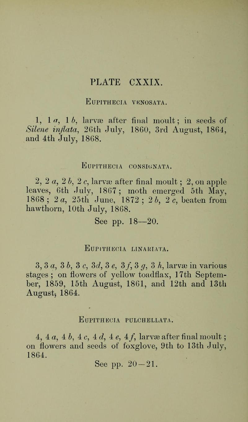 Buckler W The larvæ of the British butterflies and moths PlateCXXIXText
