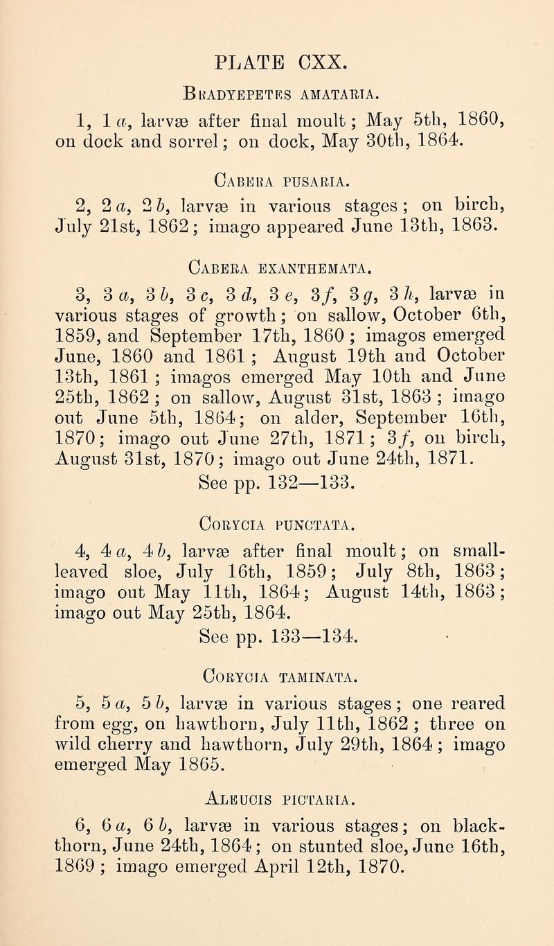 Buckler W The larvæ of the British butterflies and moths PlateCXXText