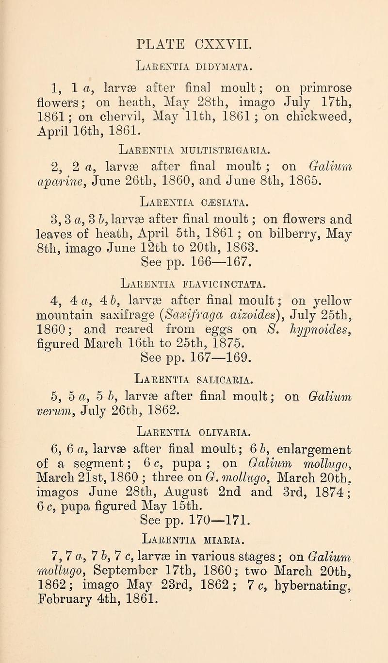 Buckler W The larvæ of the British butterflies and moths PlateCXXVIIText