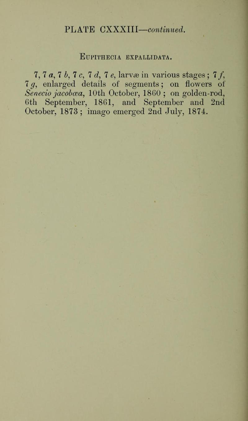 Buckler W The larvæ of the British butterflies and moths PlateCXXXIIIText2