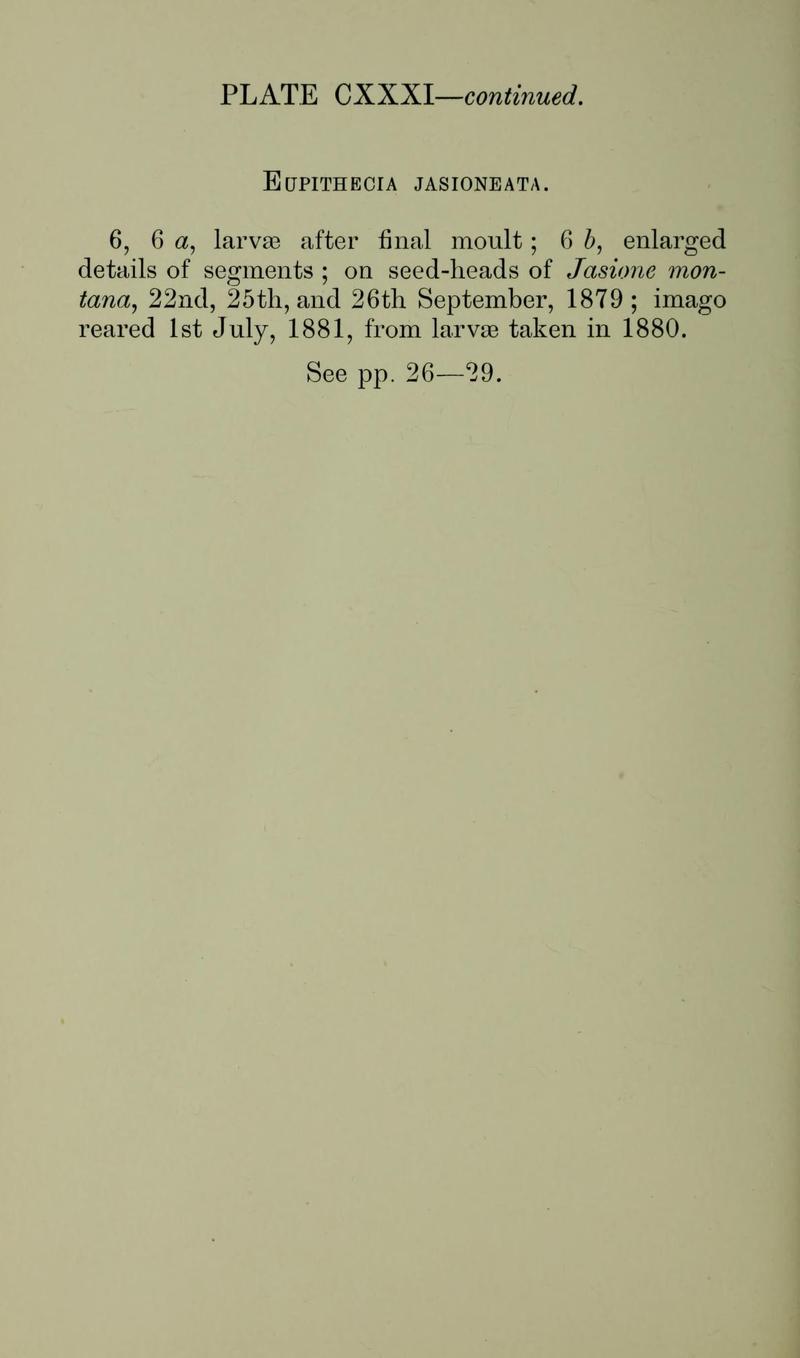Buckler W The larvæ of the British butterflies and moths PlateCXXXIText2