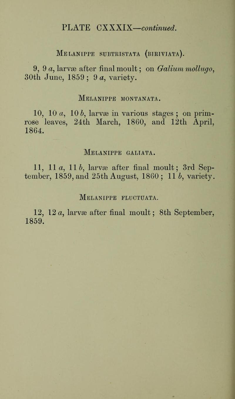 Buckler W The larvæ of the British butterflies and moths PlateCXXXIXText2