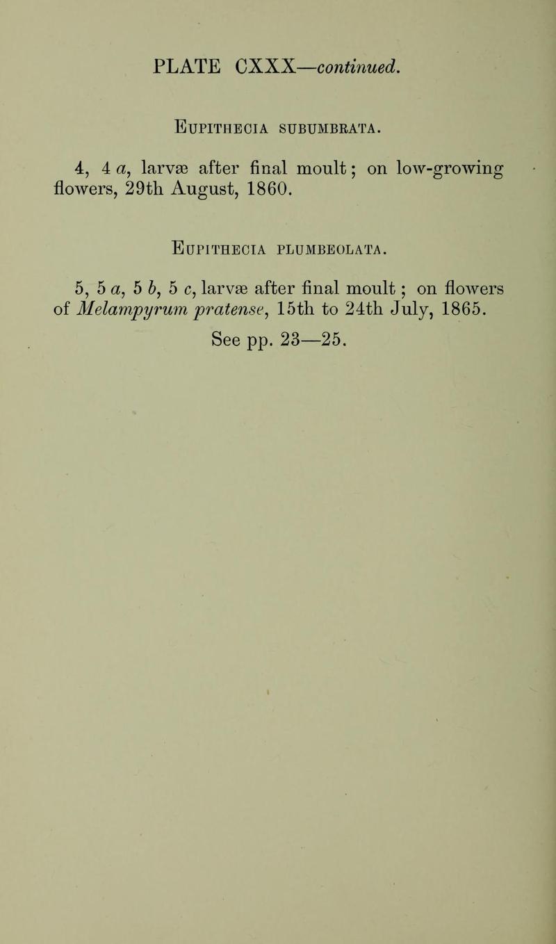Buckler W The larvæ of the British butterflies and moths PlateCXXXText2