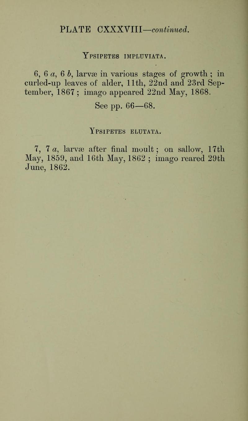 Buckler W The larvæ of the British butterflies and moths PlateCXXXVIIIText2