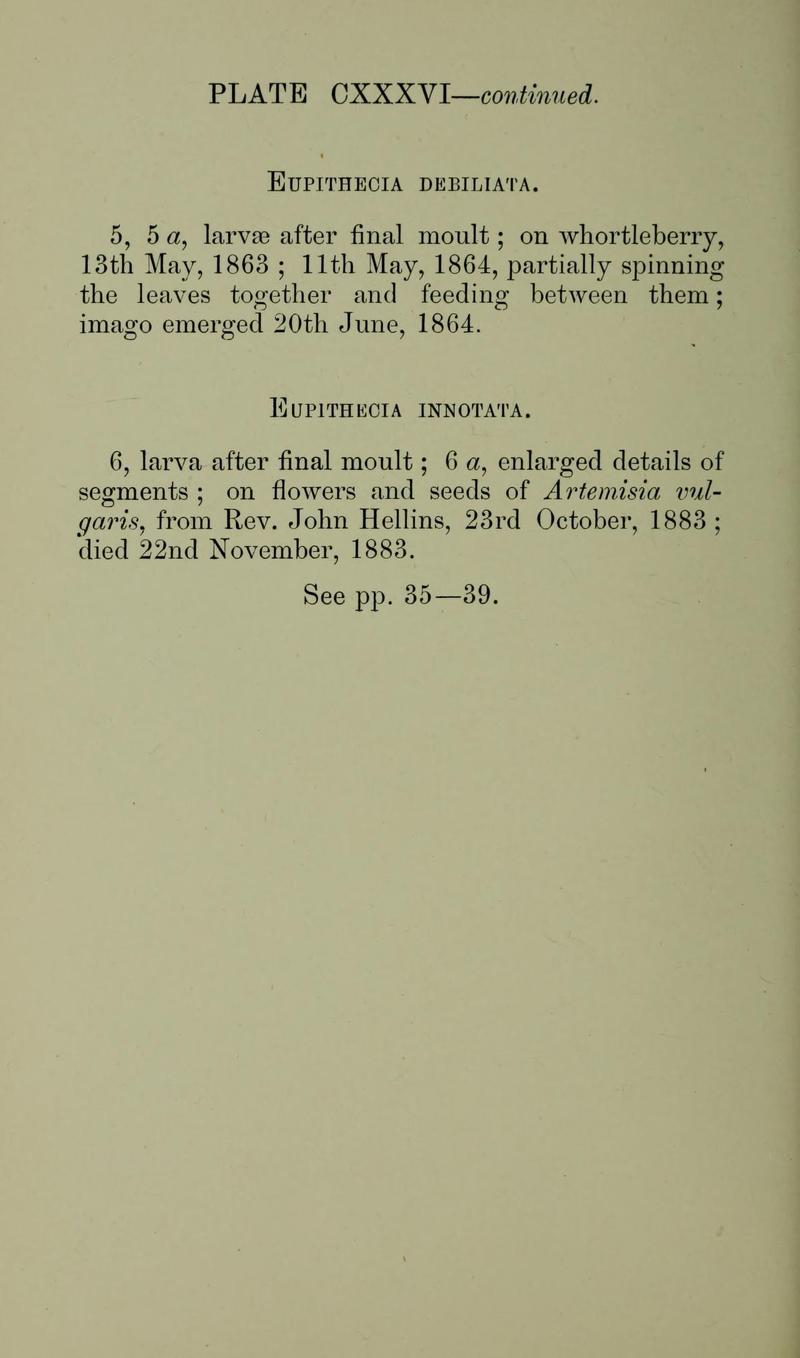Buckler W The larvæ of the British butterflies and moths PlateCXXXVIText2