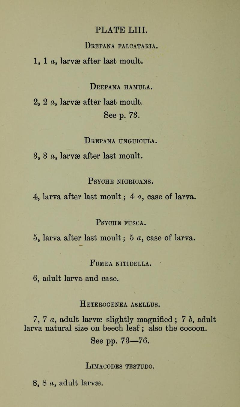 Buckler W The larvæ of the British butterflies and moths PlateLIIIText