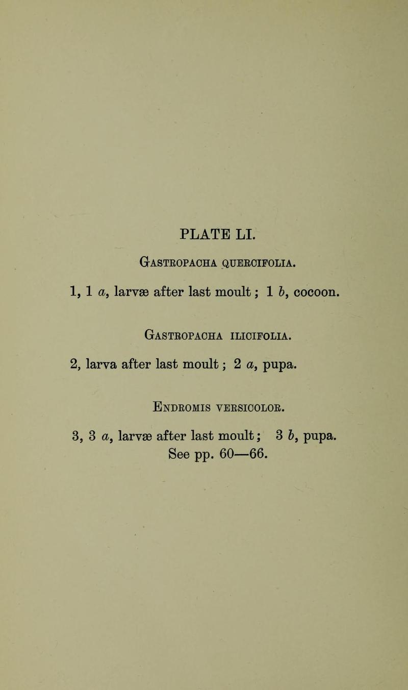 Buckler W The larvæ of the British butterflies and moths PlateLIText