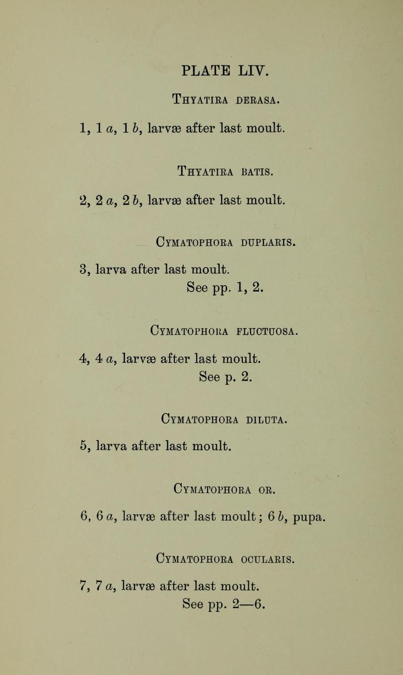Buckler W The larvæ of the British butterflies and moths PlateLIVText