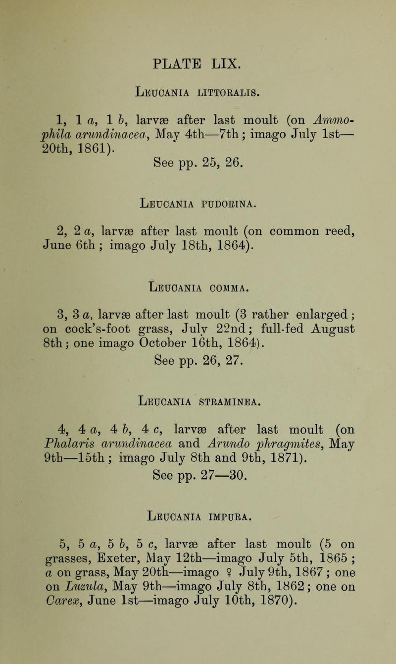 Buckler W The larvæ of the British butterflies and moths PlateLIXText