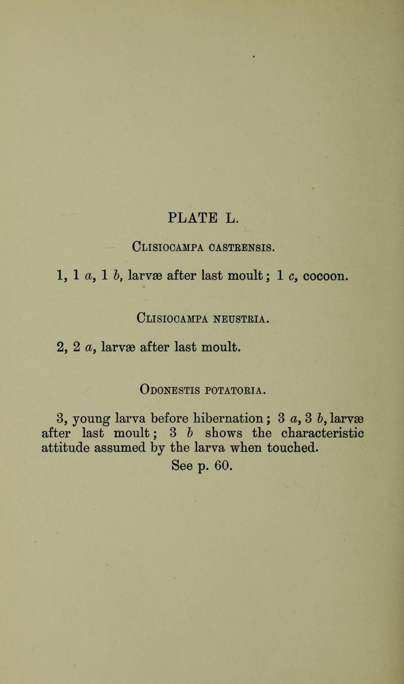 Buckler W The larvæ of the British butterflies and moths PlateLText