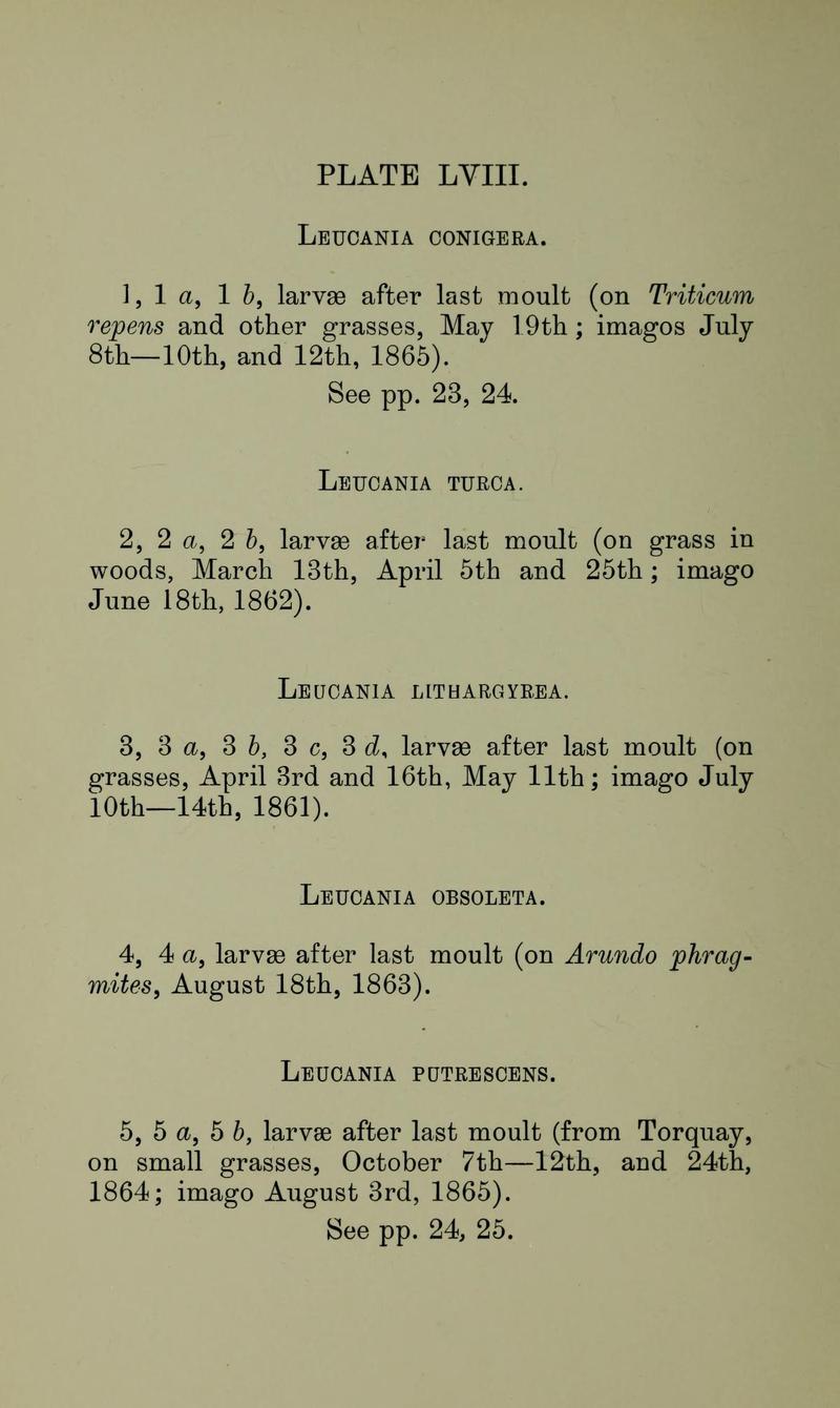 Buckler W The larvæ of the British butterflies and moths PlateLVIIIText