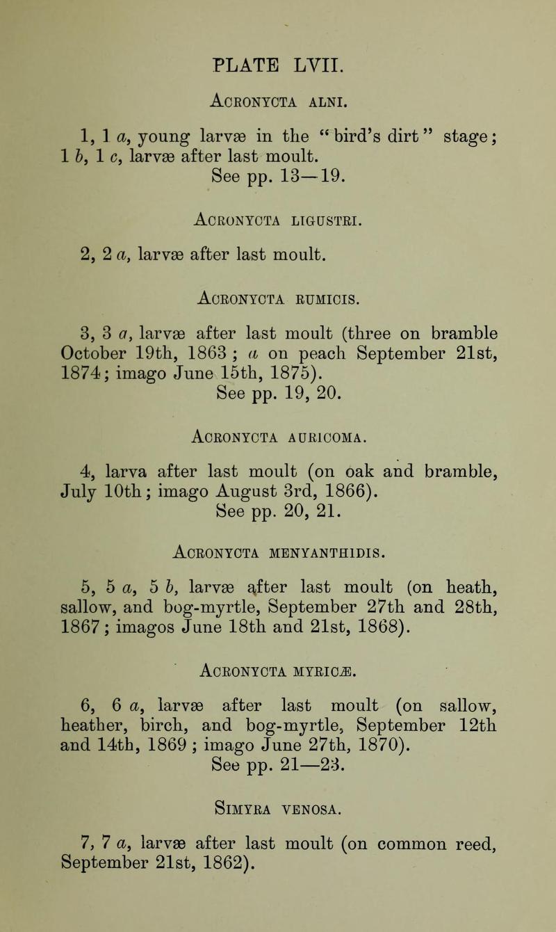 Buckler W The larvæ of the British butterflies and moths PlateLVIIText