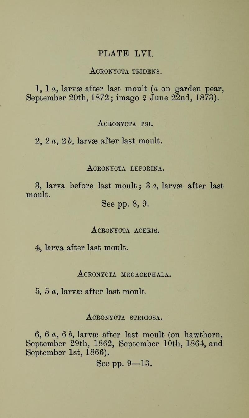 Buckler W The larvæ of the British butterflies and moths PlateLVIText
