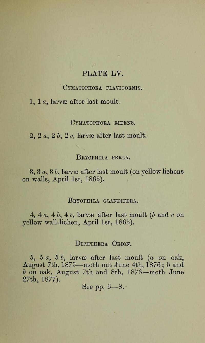 Buckler W The larvæ of the British butterflies and moths PlateLVText