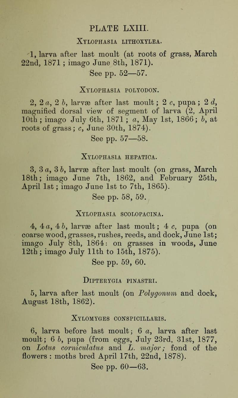 Buckler W The larvæ of the British butterflies and moths PlateLXIIIText
