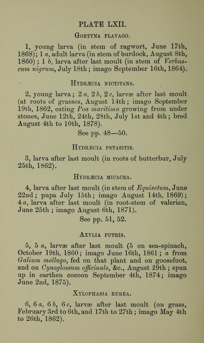 Buckler W The larvæ of the British butterflies and moths PlateLXIIText