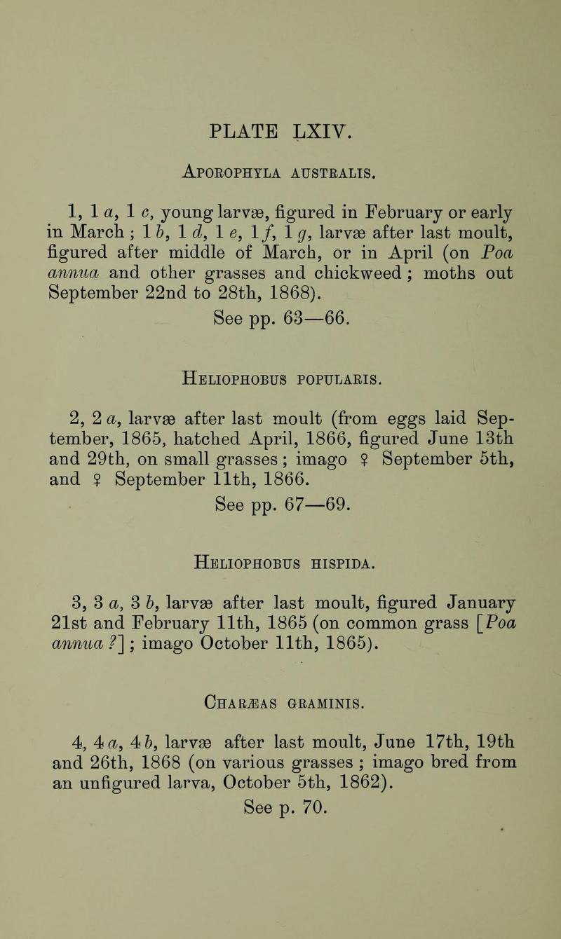 Buckler W The larvæ of the British butterflies and moths PlateLXIVText