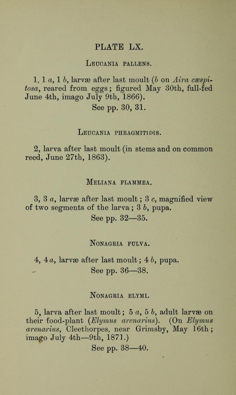 Buckler W The larvæ of the British butterflies and moths PlateLXText