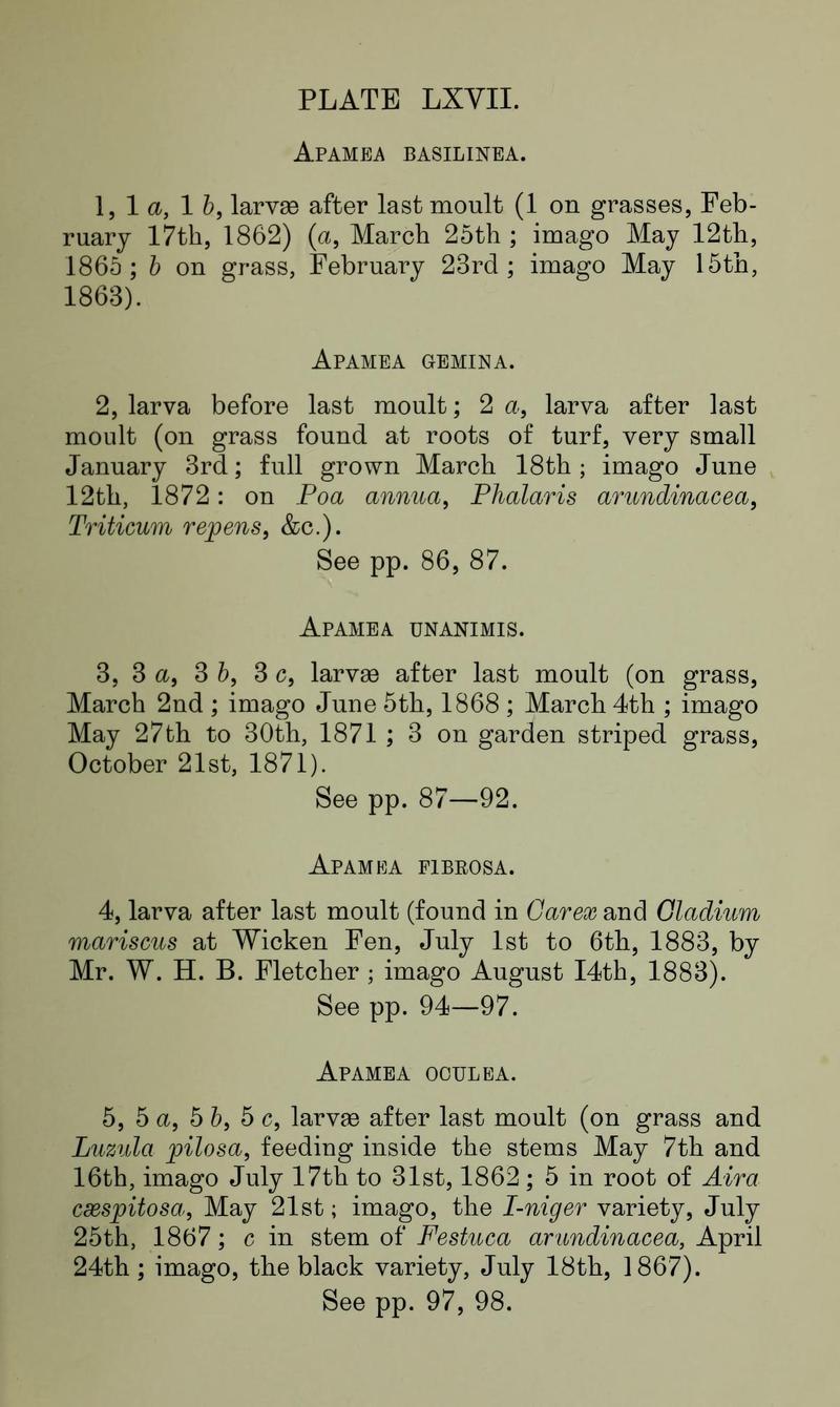 Buckler W The larvæ of the British butterflies and moths PlateLXVIIText