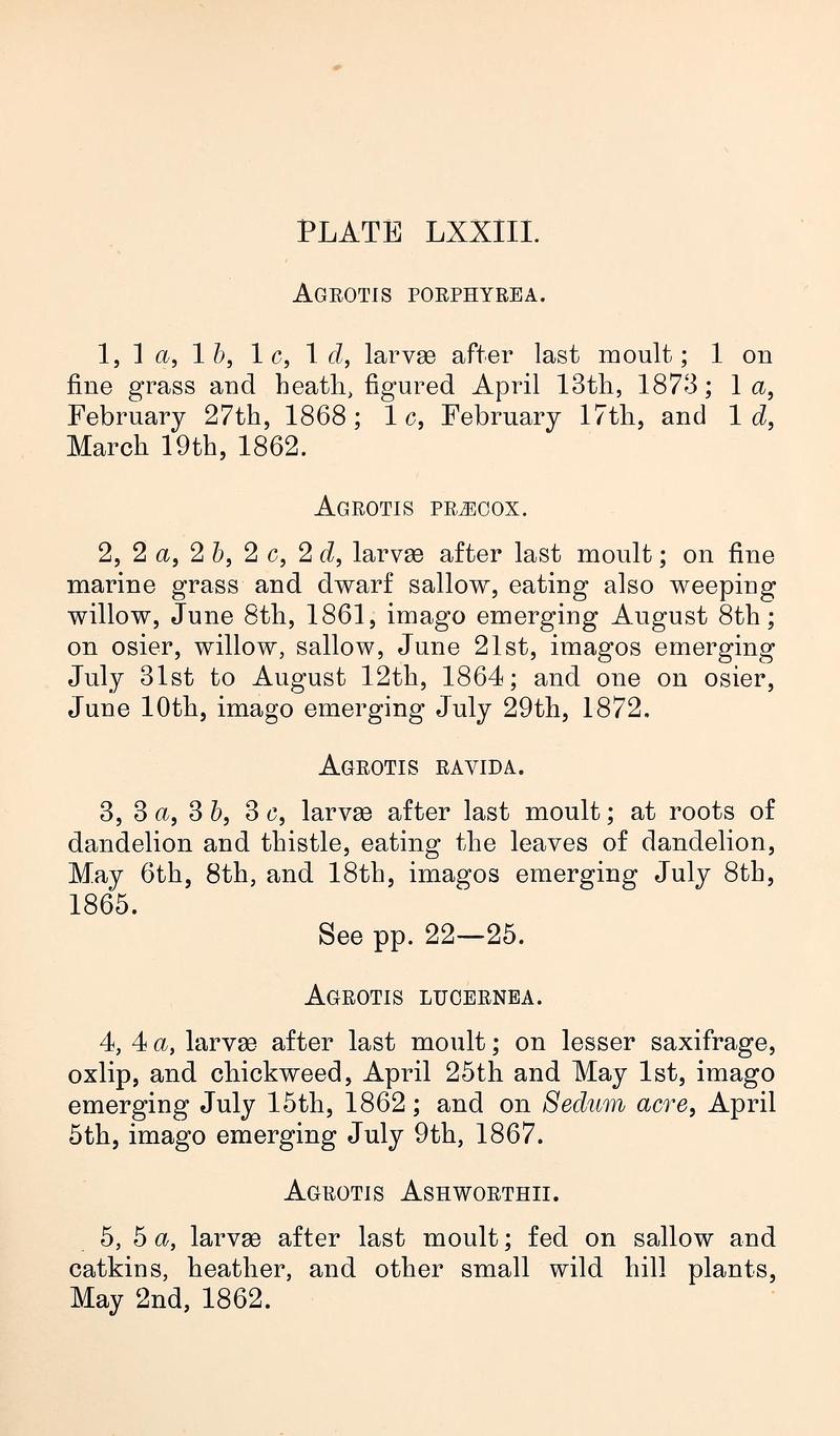 Buckler W The larvæ of the British butterflies and moths PlateLXXIIIText