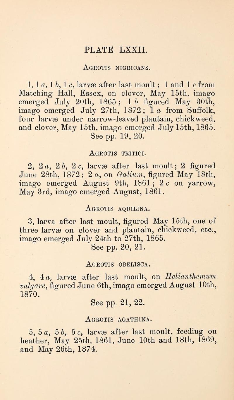 Buckler W The larvæ of the British butterflies and moths PlateLXXIIText