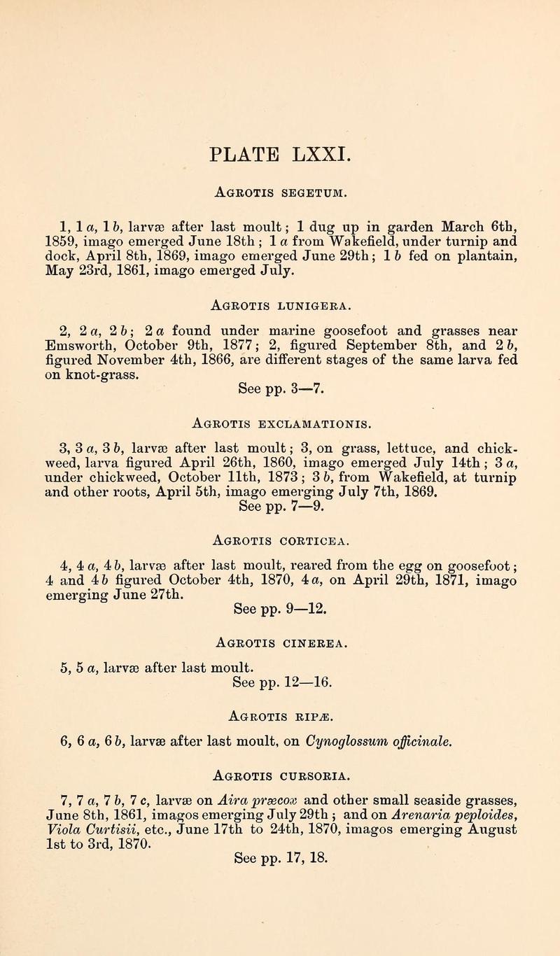 Buckler W The larvæ of the British butterflies and moths PlateLXXIText