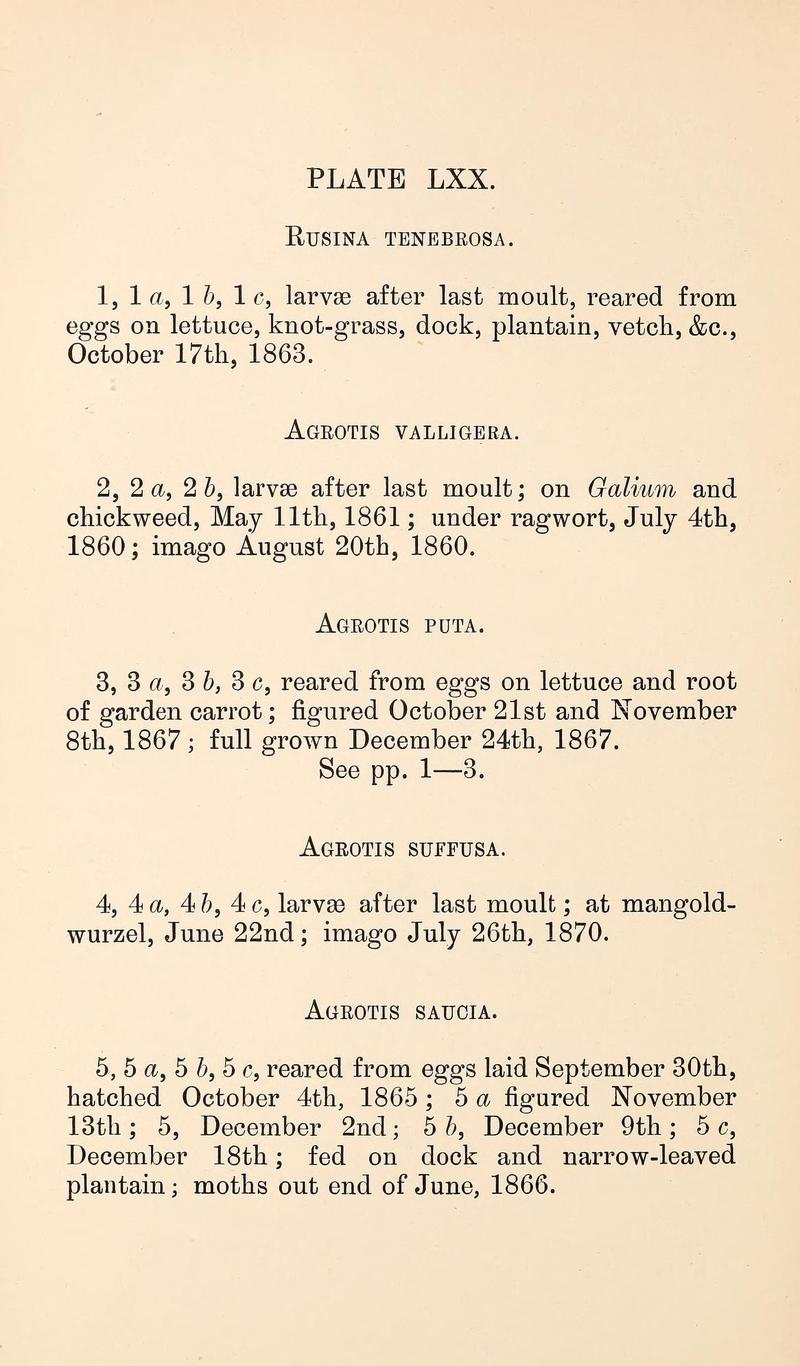 Buckler W The larvæ of the British butterflies and moths PlateLXXText