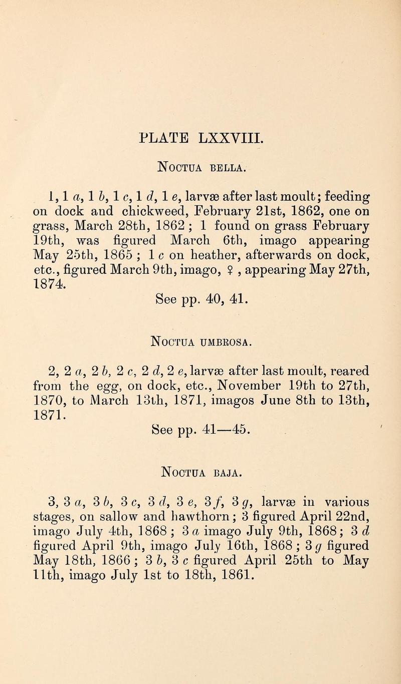 Buckler W The larvæ of the British butterflies and moths PlateLXXVIIIText