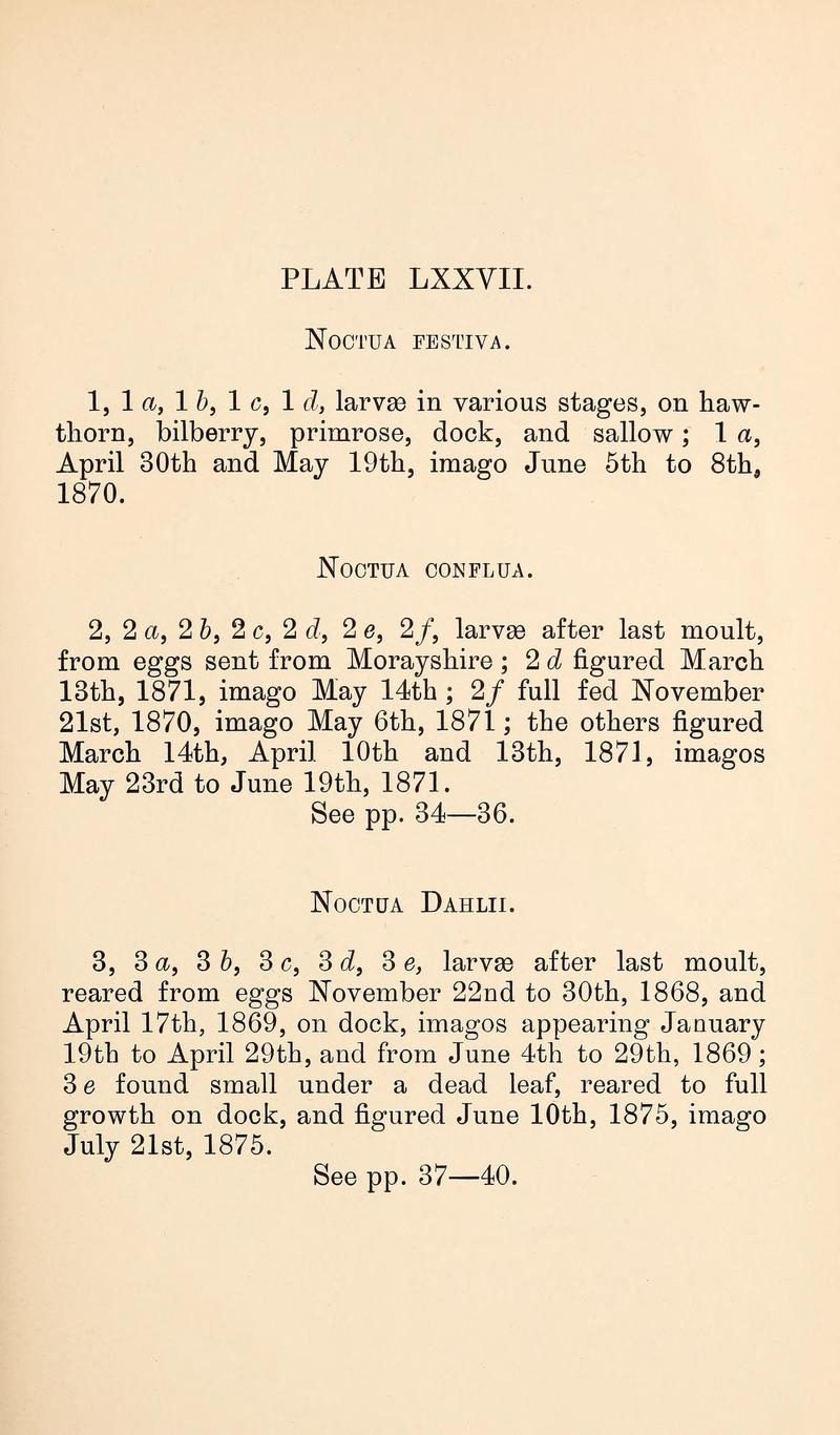 Buckler W The larvæ of the British butterflies and moths PlateLXXVIIText