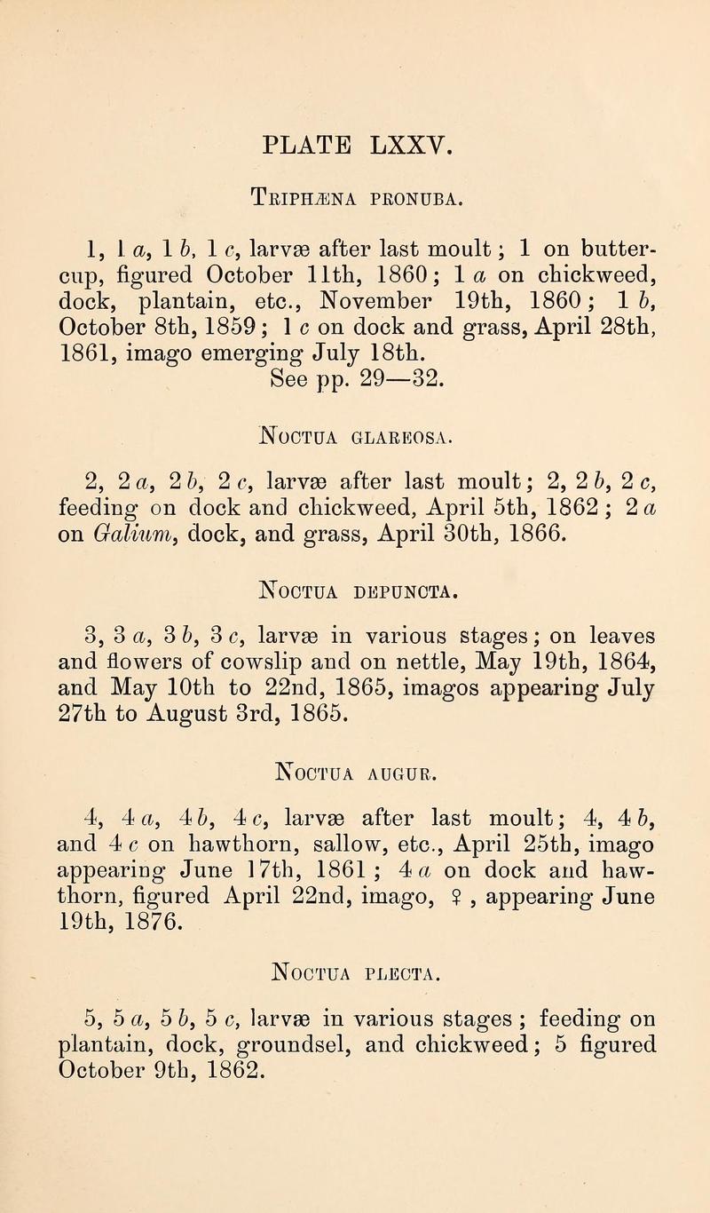 Buckler W The larvæ of the British butterflies and moths PlateLXXVText