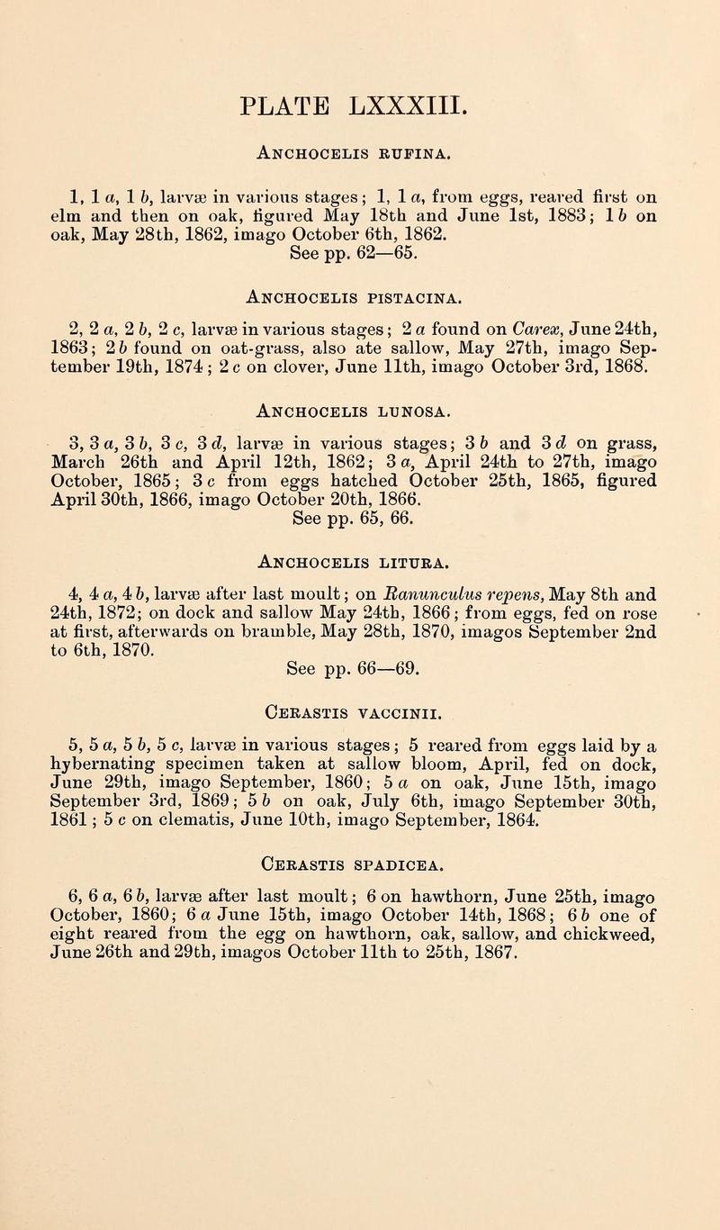 Buckler W The larvæ of the British butterflies and moths PlateLXXXIIIText