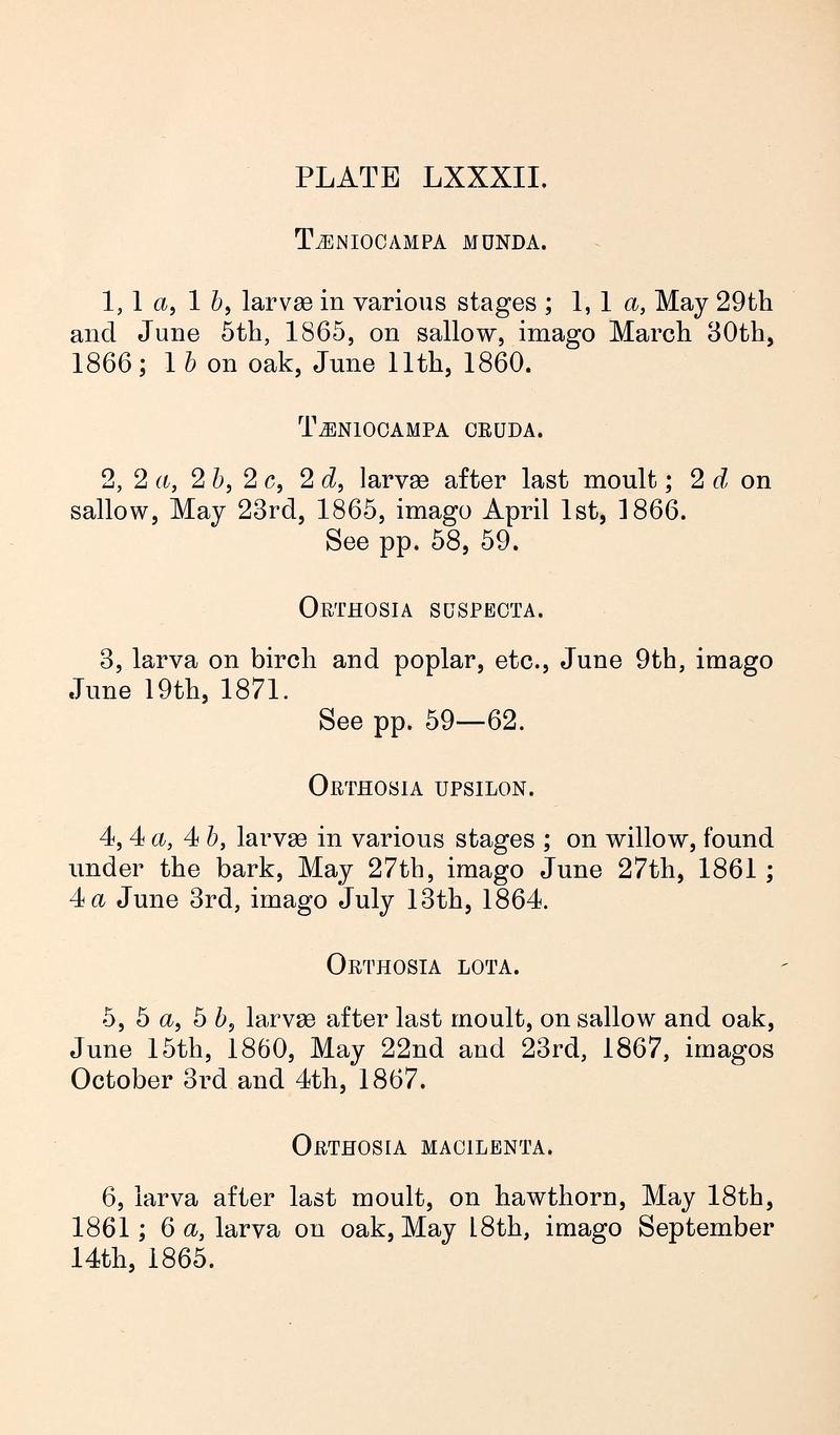 Buckler W The larvæ of the British butterflies and moths PlateLXXXIIText