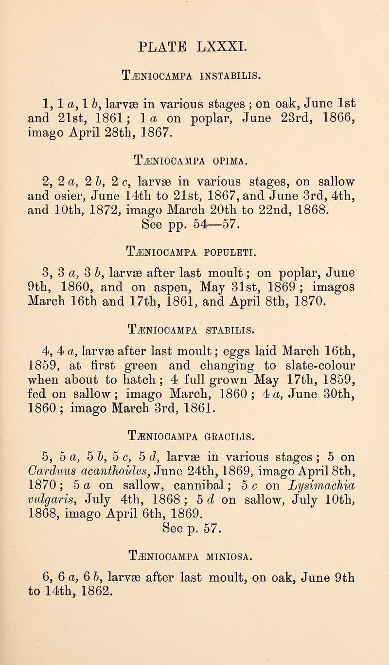 Buckler W The larvæ of the British butterflies and moths PlateLXXXIText