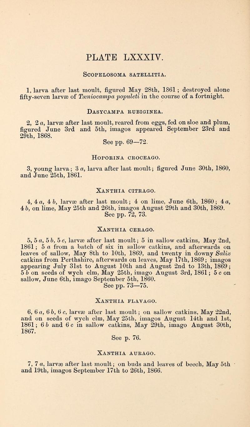 Buckler W The larvæ of the British butterflies and moths PlateLXXXIVText