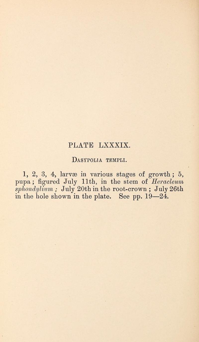 Buckler W The larvæ of the British butterflies and moths PlateLXXXIXText