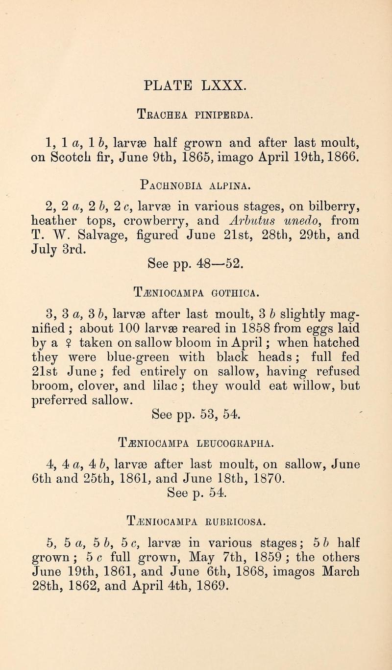 Buckler W The larvæ of the British butterflies and moths PlateLXXXText