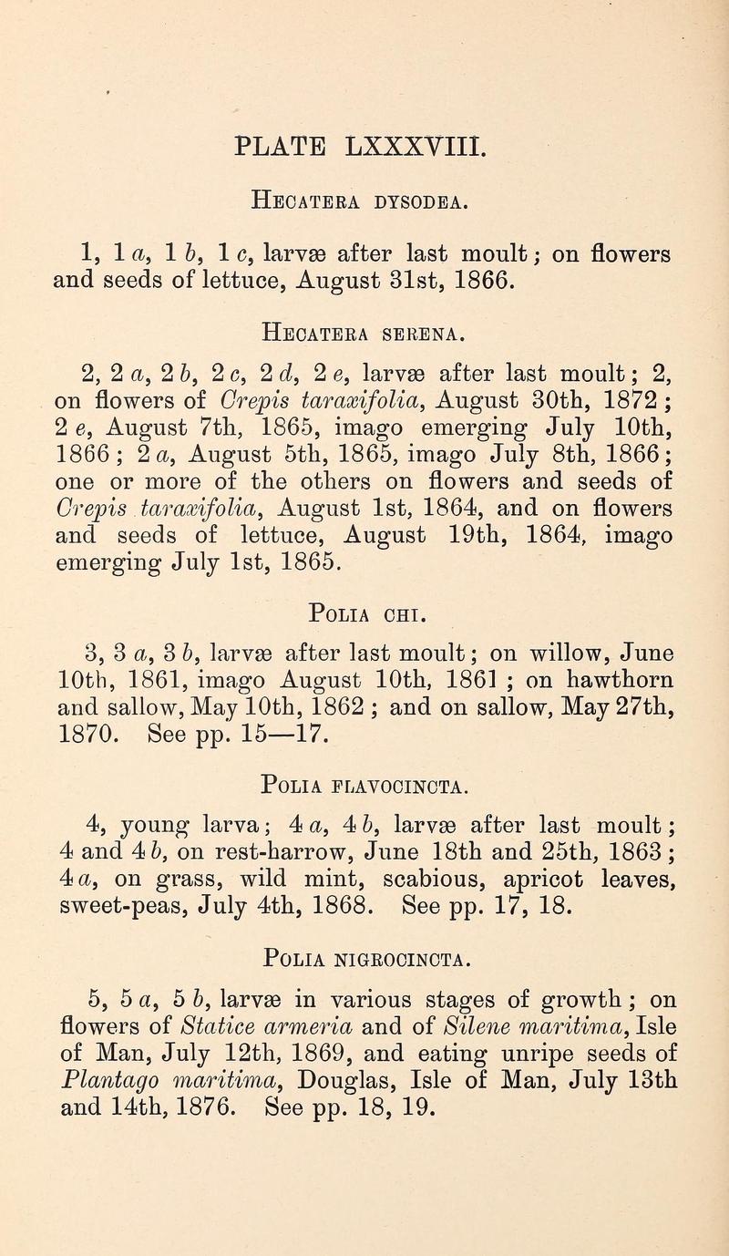 Buckler W The larvæ of the British butterflies and moths PlateLXXXVIIIText