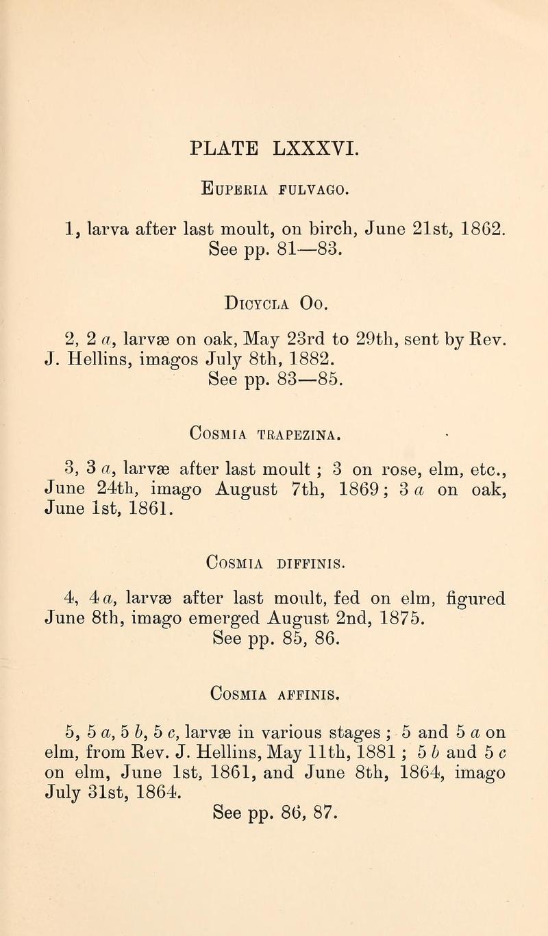 Buckler W The larvæ of the British butterflies and moths PlateLXXXVIText