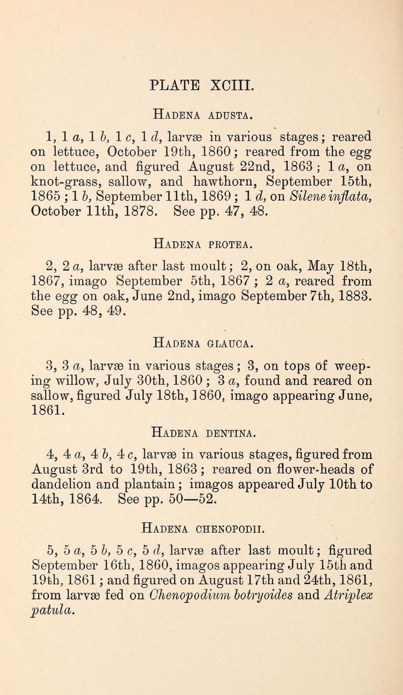Buckler W The larvæ of the British butterflies and moths PlateXCIIIText