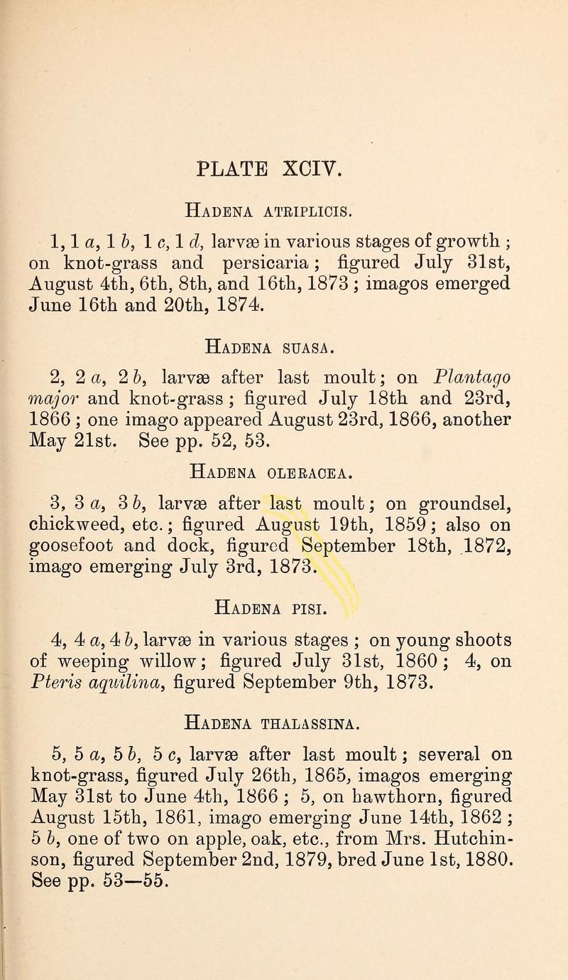 Buckler W The larvæ of the British butterflies and moths PlateXCIVText