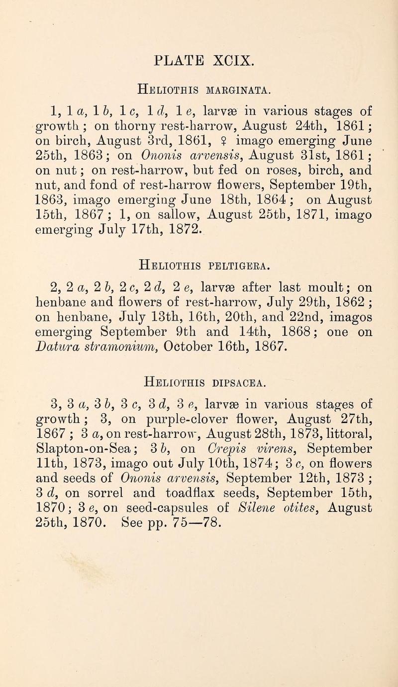 Buckler W The larvæ of the British butterflies and moths PlateXCIXText