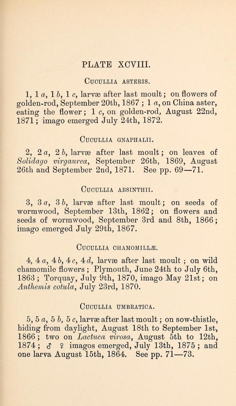 Buckler W The larvæ of the British butterflies and moths PlateXCVIIIText