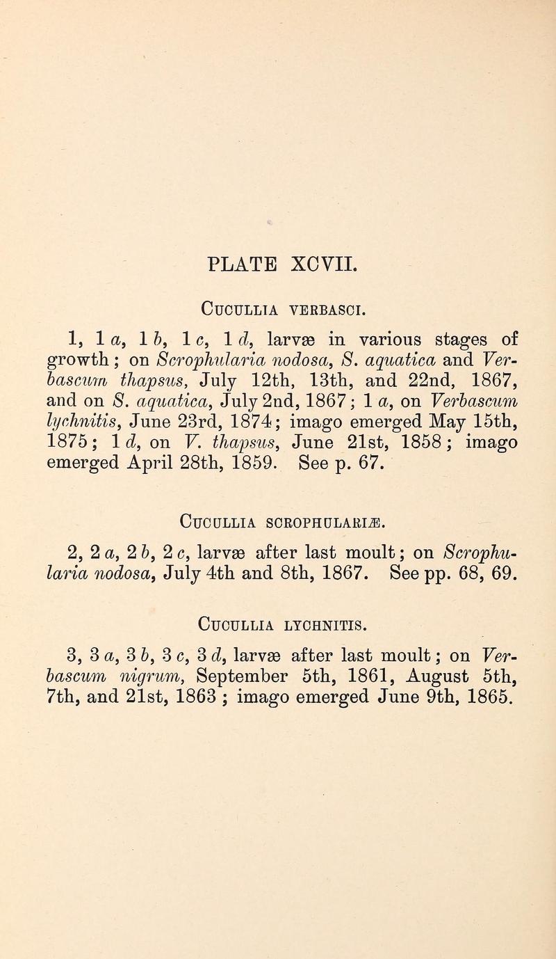 Buckler W The larvæ of the British butterflies and moths PlateXCVIIText