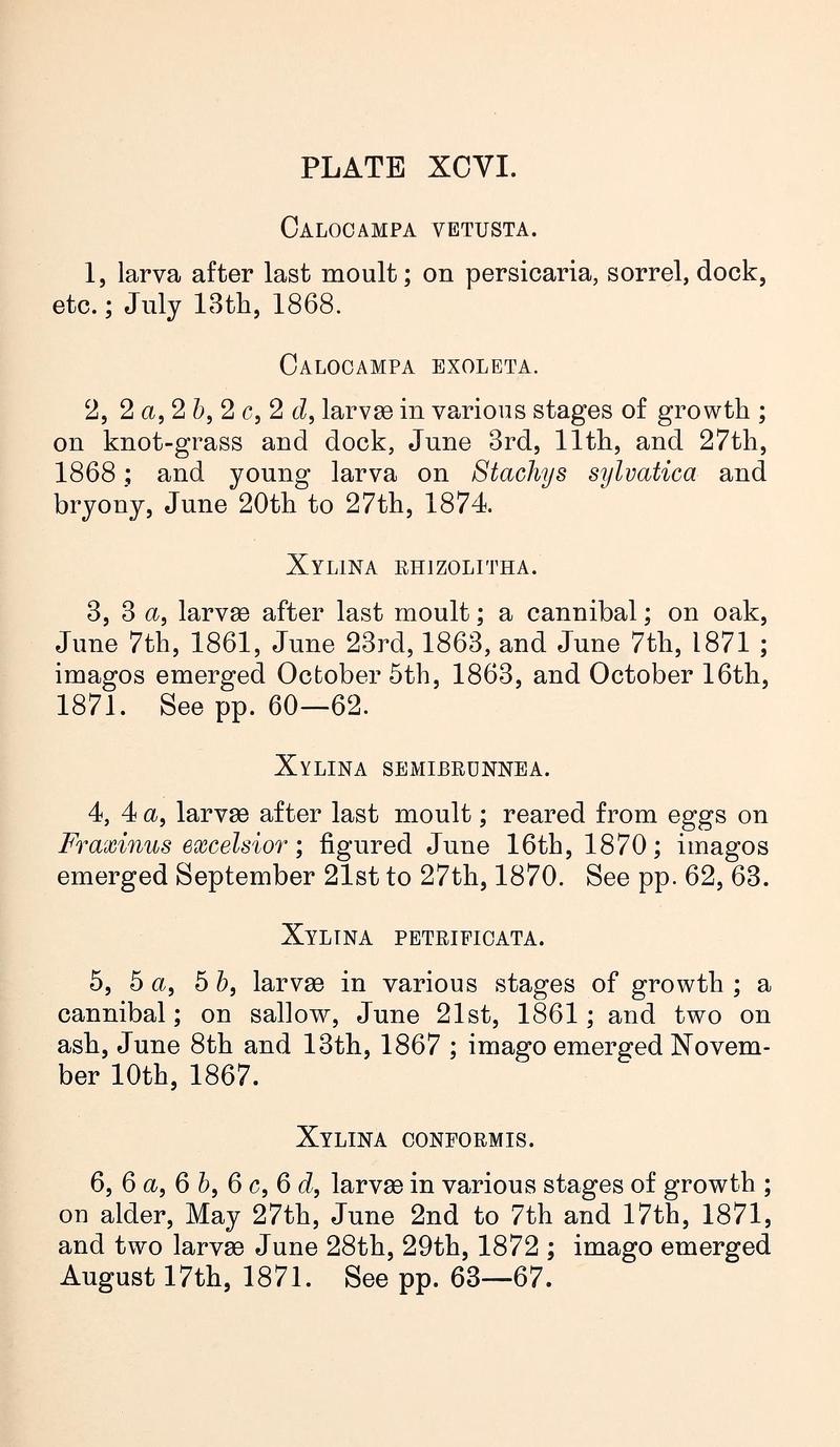 Buckler W The larvæ of the British butterflies and moths PlateXCVIText